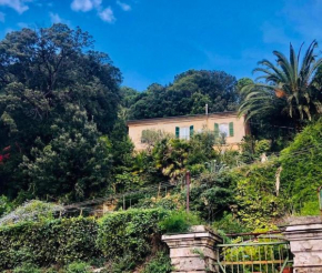Caligo, La Spezia